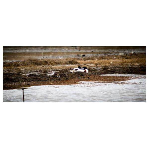 PHOTO84, CLUB, 84 , LUBERON